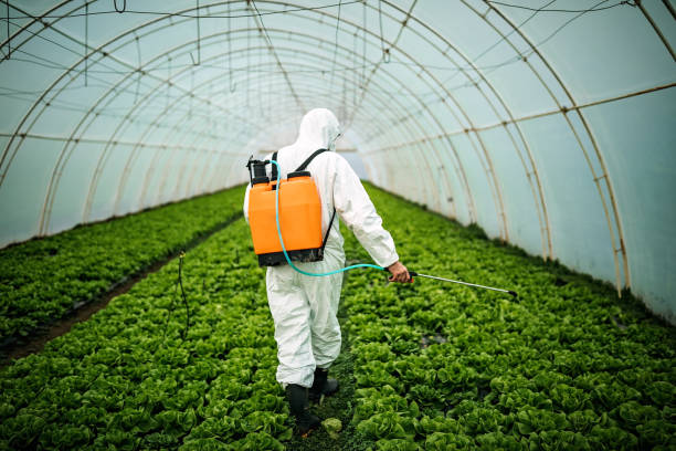 Best Pest Control for Restaurants  in Reidsville, NC