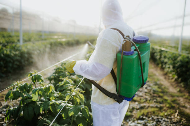 Flea Control Services in Reidsville, NC